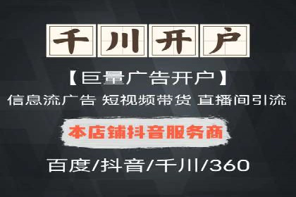 SEM竞价入门指南，经典案例分享